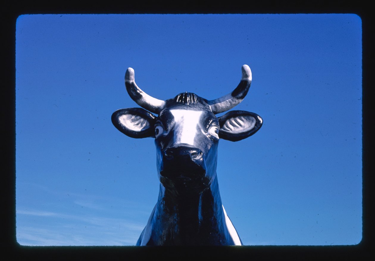 Szczegół statuetki krowy Chatty Belle, sklep z serami i upominkami, Neillsville, Wisconsin, USA autorstwa John Margolies