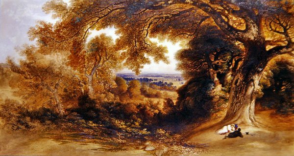Zobacz w pobliżu Pembroke Lodge, Richmond Park autorstwa John Martin