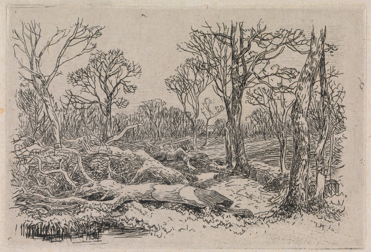 Ścięte drewno, Burningham autorstwa John Middleton