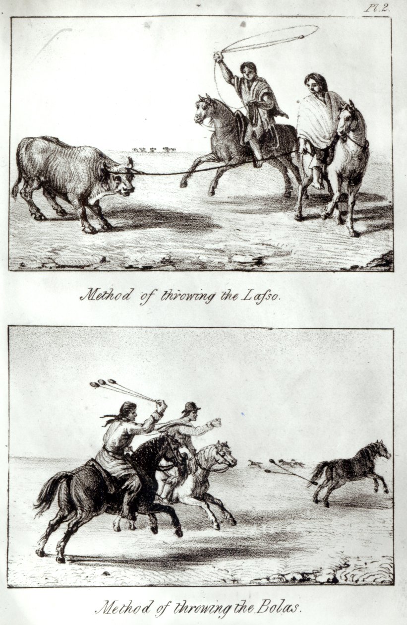 Metody rzucania lassem i bolasem, z „Podróże po Chile i La Plata” Johna Miersa, 1826 (lito) (fot. bw) autorstwa John Miers