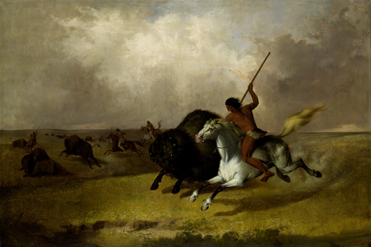 Polowanie na bawoły na preriach południowo-zachodnich, 1845. autorstwa John Mix Stanley