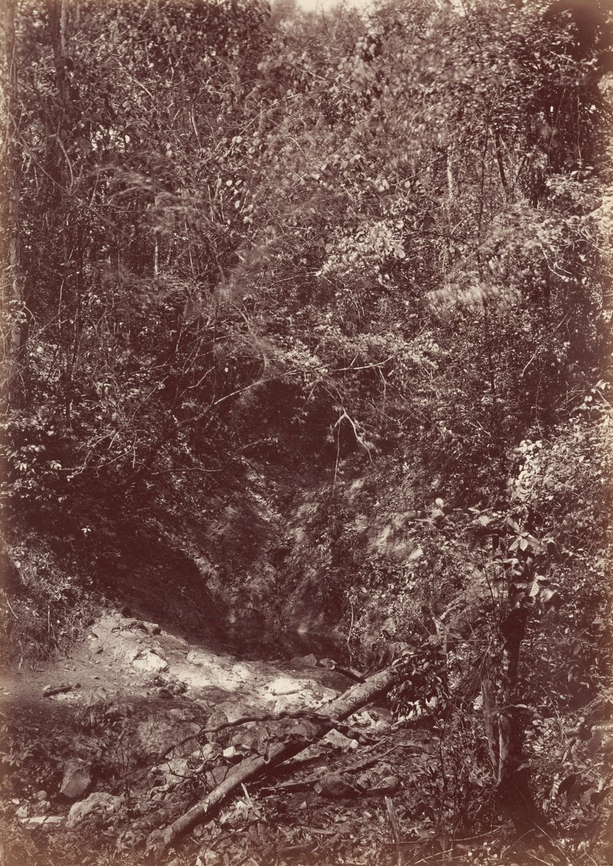 Ekspedycja Darien, 1871 r. (zdjęcie) autorstwa John Moran