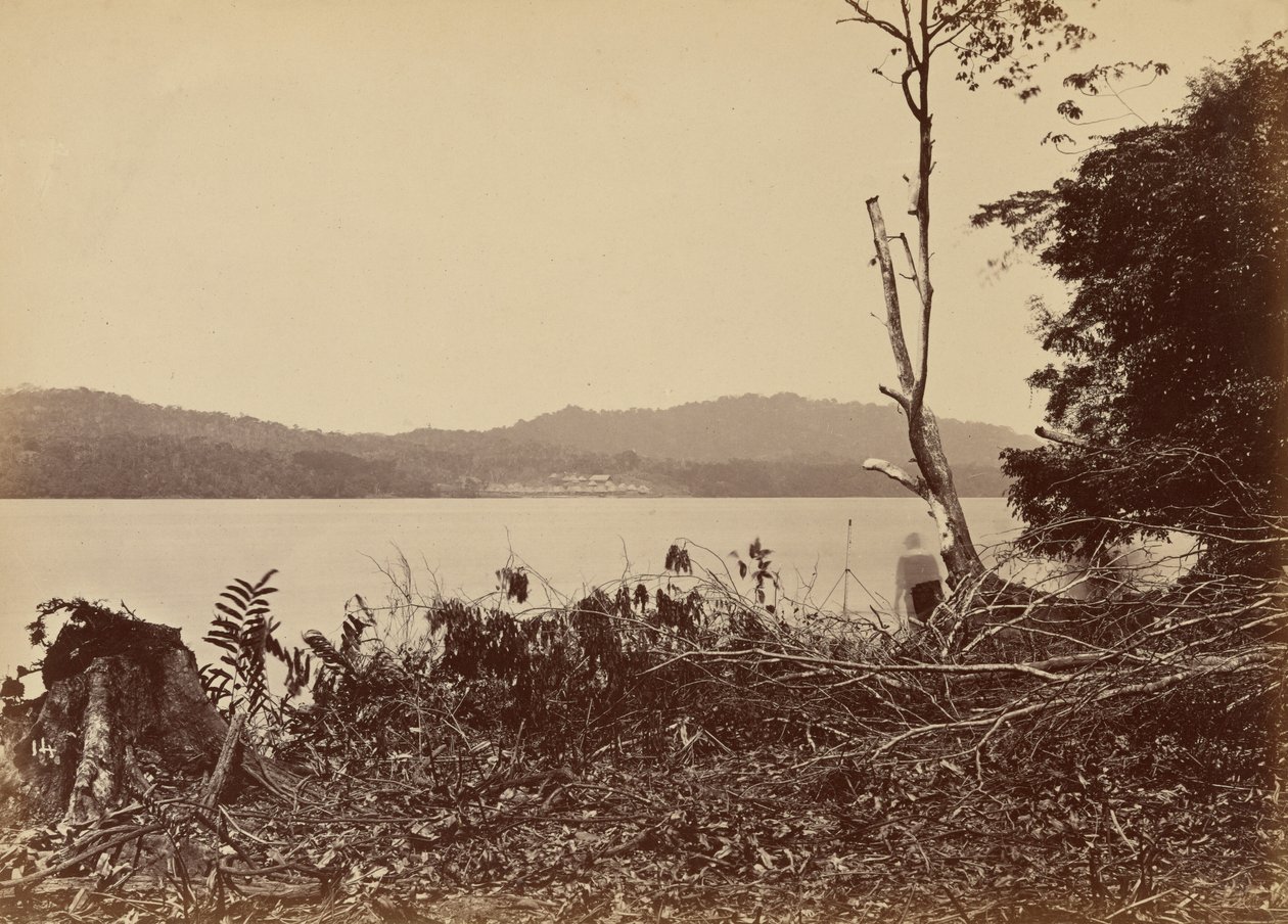 Port Darien, Chipigana, 1871 (zdjęcie) autorstwa John Moran