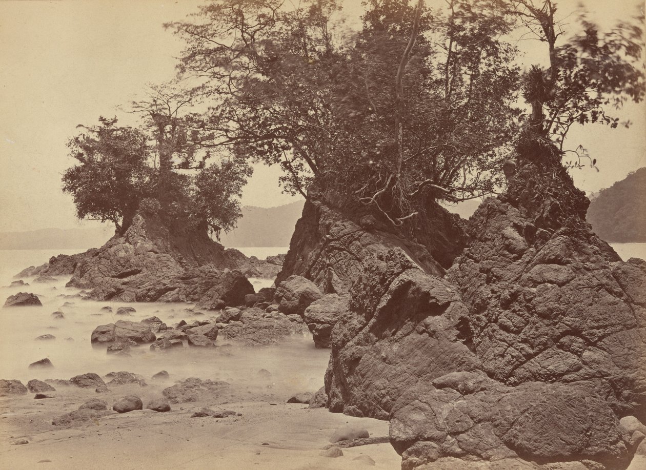 Wyspy, zatoka Limon, 1871 (zdjęcie) autorstwa John Moran
