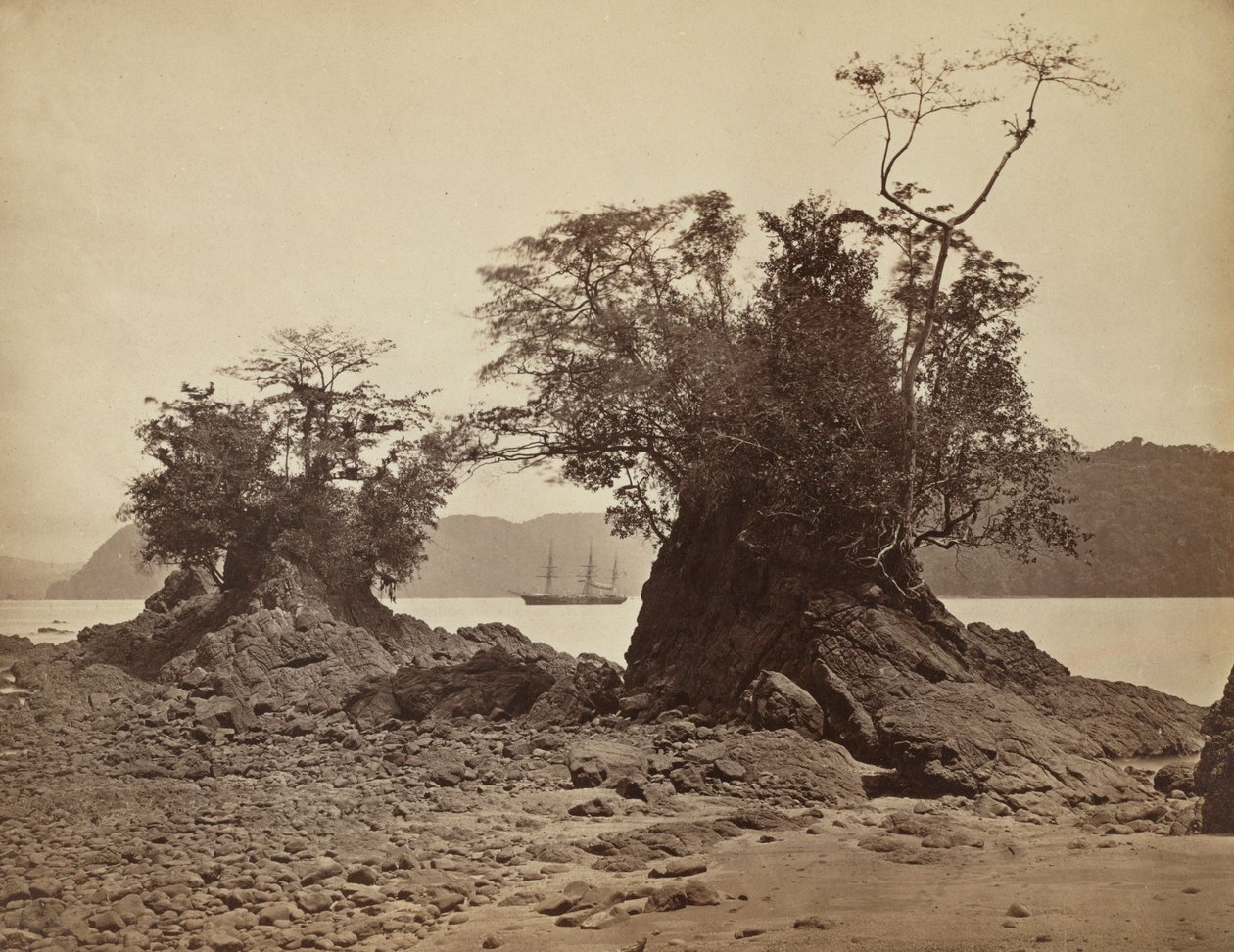 Wyspy w Lemon Bay, 1871. autorstwa John Moran