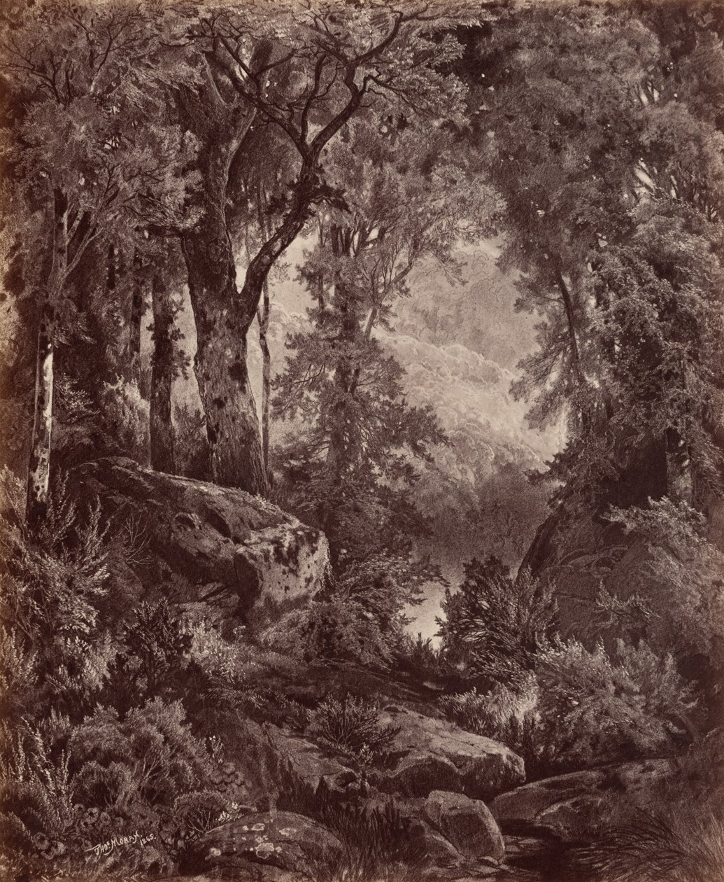 Samotność, 1865 (zdjęcie) autorstwa John Moran
