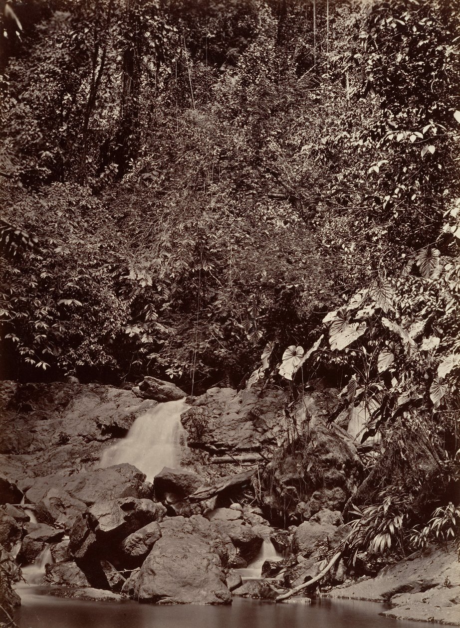 Tropikalna sceneria, Kaskada, rzeka Limon, 1871. autorstwa John Moran