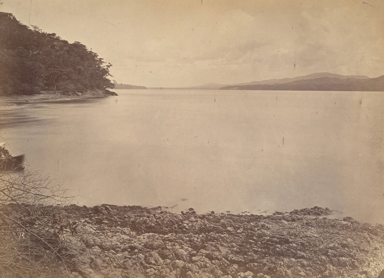 Tropikalna sceneria, Port Darien - Patrząc na południe, 1871. autorstwa John Moran