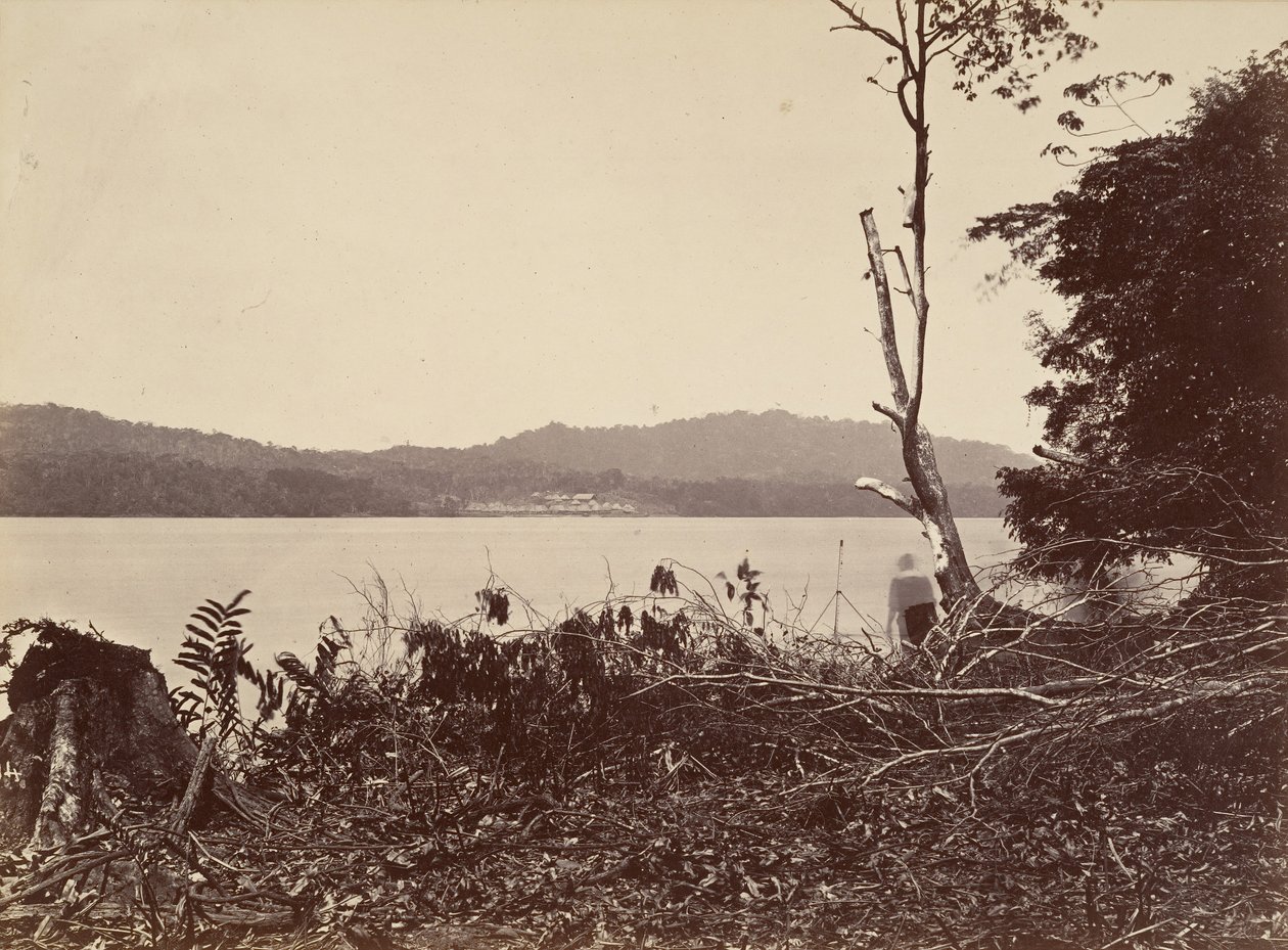 Tropikalna sceneria, Port Darien, Chipigana, 1871. autorstwa John Moran