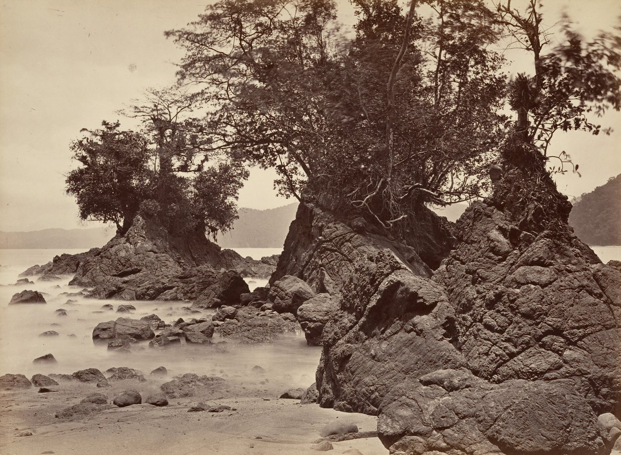 Tropikalna sceneria, Zatoka Limon - Odpływ, 1871. autorstwa John Moran