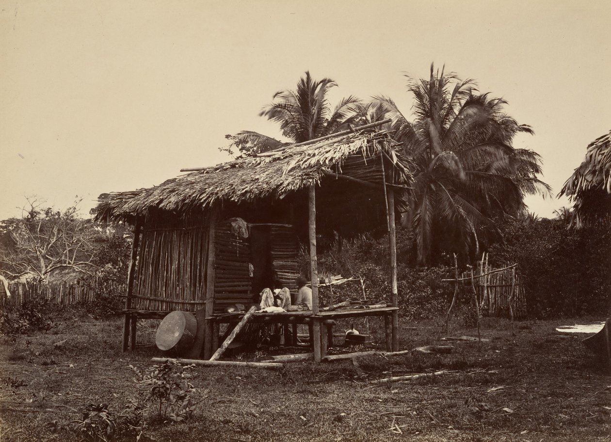 Tropikalna sceneria, chata rodzima, Turbo, 1871. autorstwa John Moran