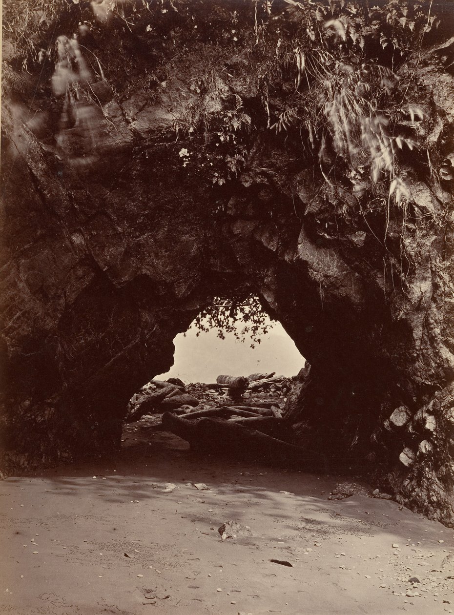 Tropikalna sceneria, naturalny łuk, zatoka Cupica, 1871. autorstwa John Moran