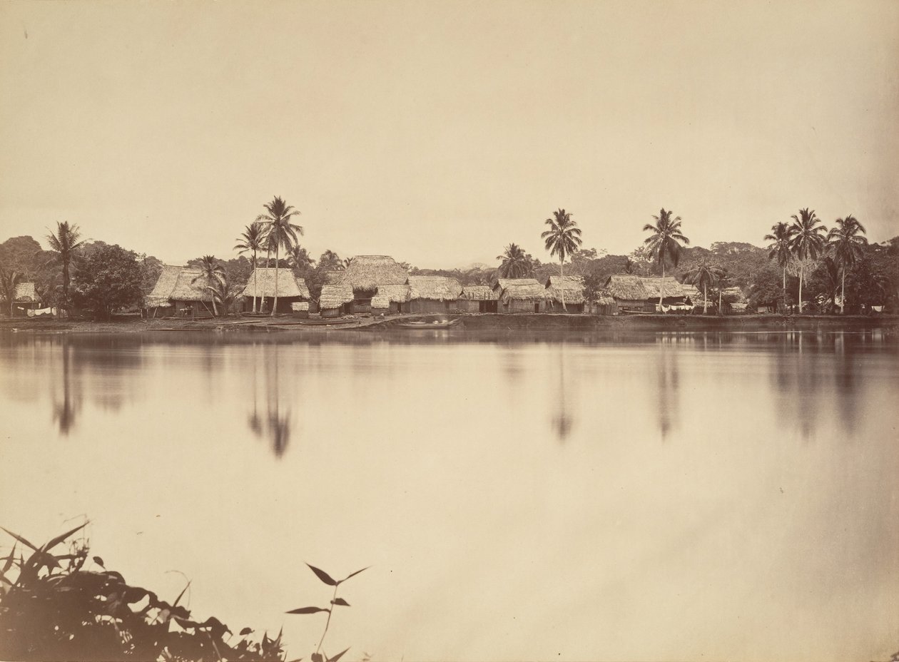 Tropikalna sceneria, Santa Maria del Real, Darien, 1871. autorstwa John Moran