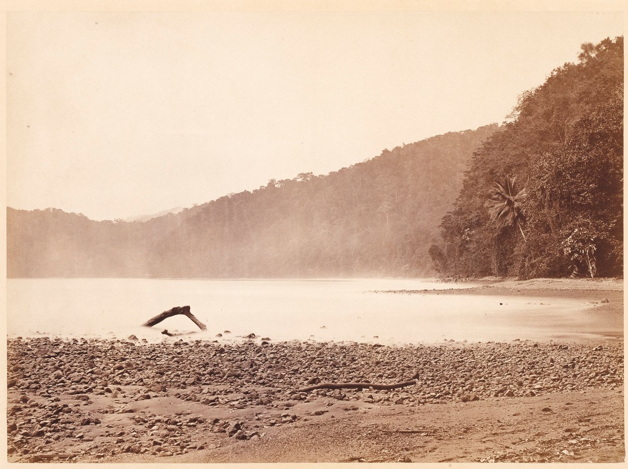 Tropikalna sceneria: Koniec proponowanego kanału, zatoka Limon (Darien Expedition) autorstwa John Moran