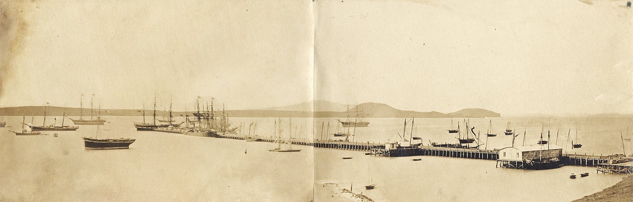 Port w Auckland, 1865 (odbitka albuminowa) autorstwa John Nicol Crombie
