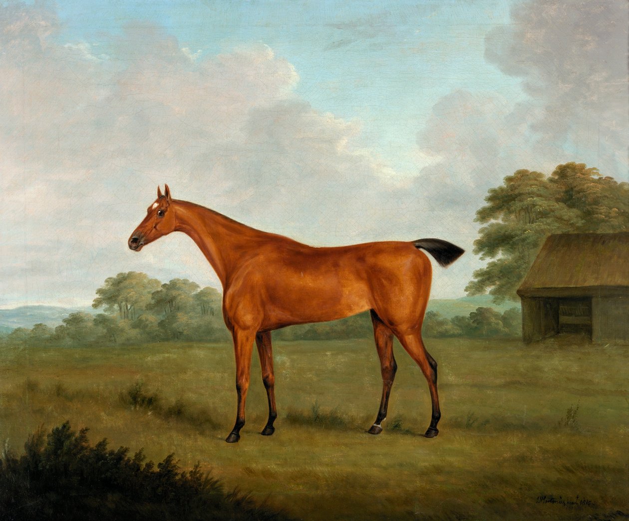 Kasztanowiec w krajobrazie, 1815 autorstwa John Nott Sartorius