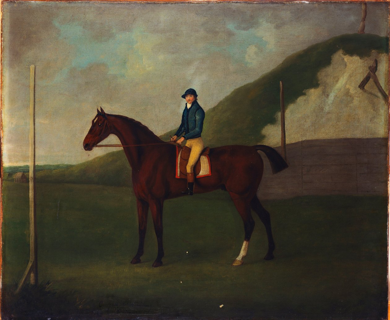„Creeper”, Bay Colt z dżokejem na starcie w przerwie w biegu w Devils Ditch, Newmarket autorstwa John Nott Sartorius