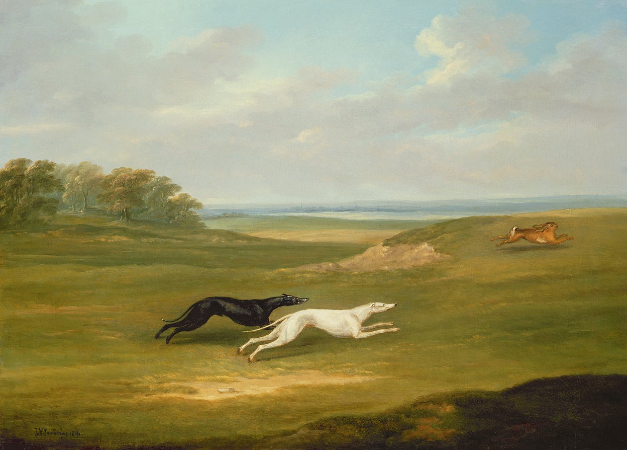 Bieganie, scena coursingowa autorstwa John Nott Sartorius