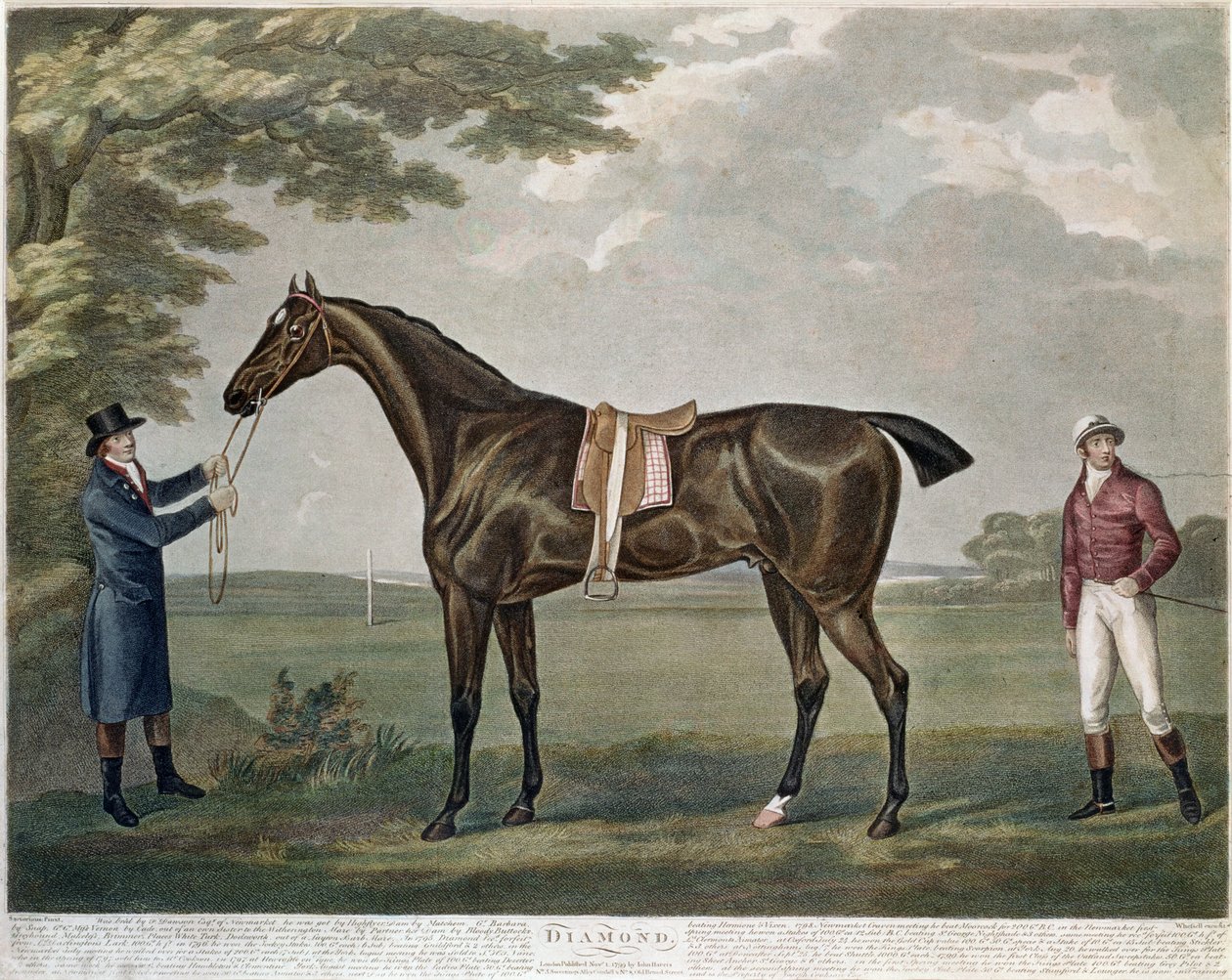 Diament koni wyścigowych, ok.1799 autorstwa John Nott Sartorius