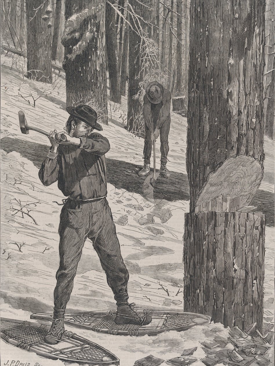 Trzepanie zimą w każdą sobotę, tom. II, Nowa seria, 28 stycznia 1871. autorstwa John Parker Davis