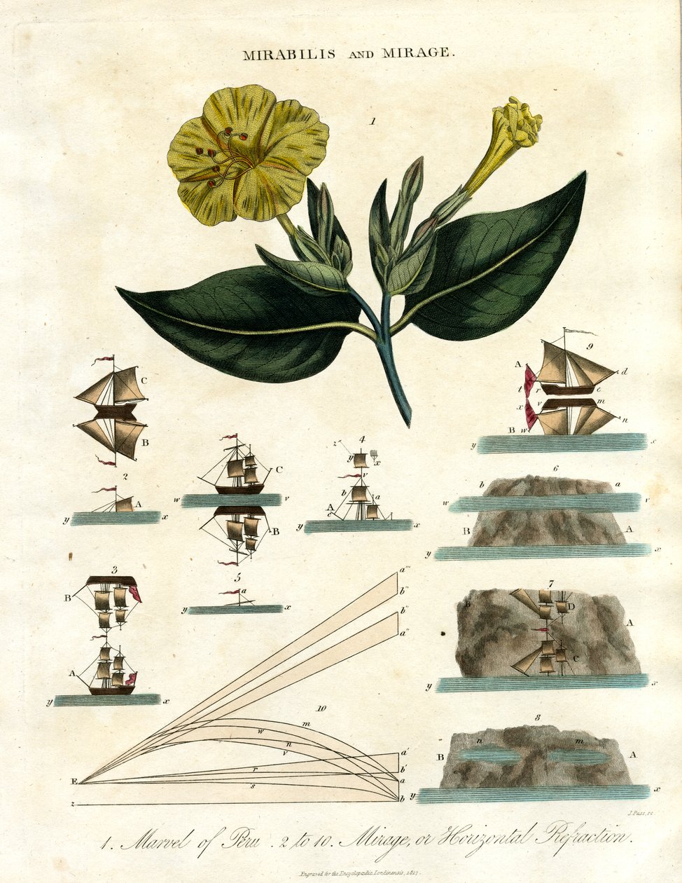 Mirabilis i Mirage autorstwa John Pass