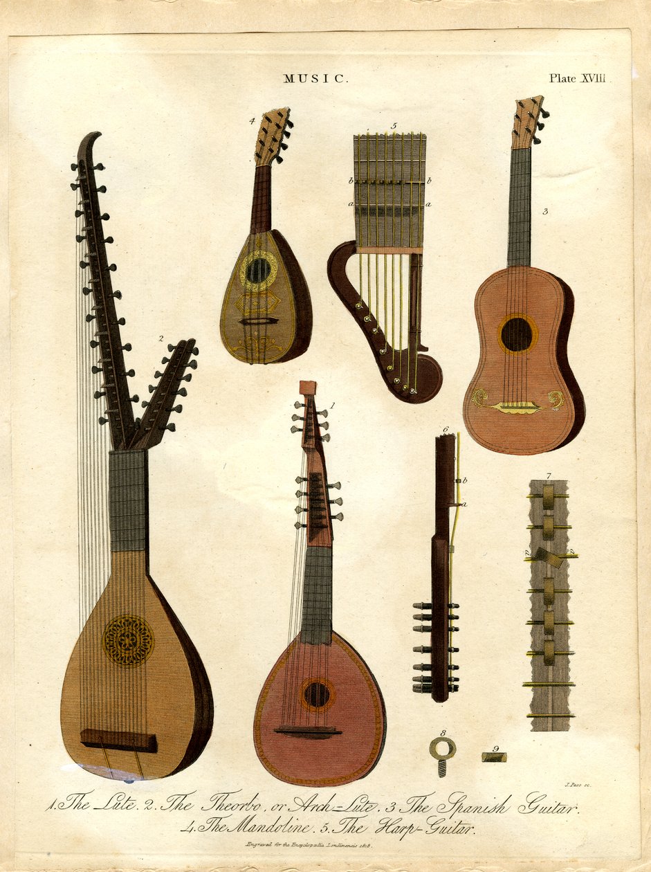 Lutnia, teorba lub lutnia łukowa, gitara hiszpańska, mandolina, harfa-gitara autorstwa John Pass