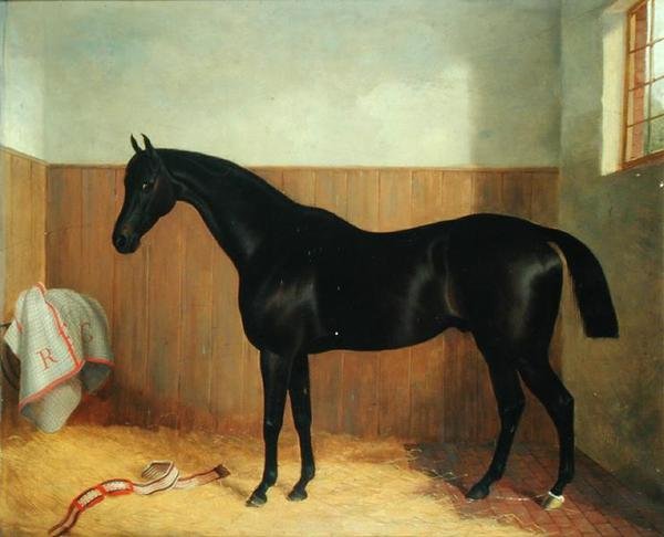 Tommy, Portret konia, ok. 1870 (olej na płótnie) autorstwa John Paul