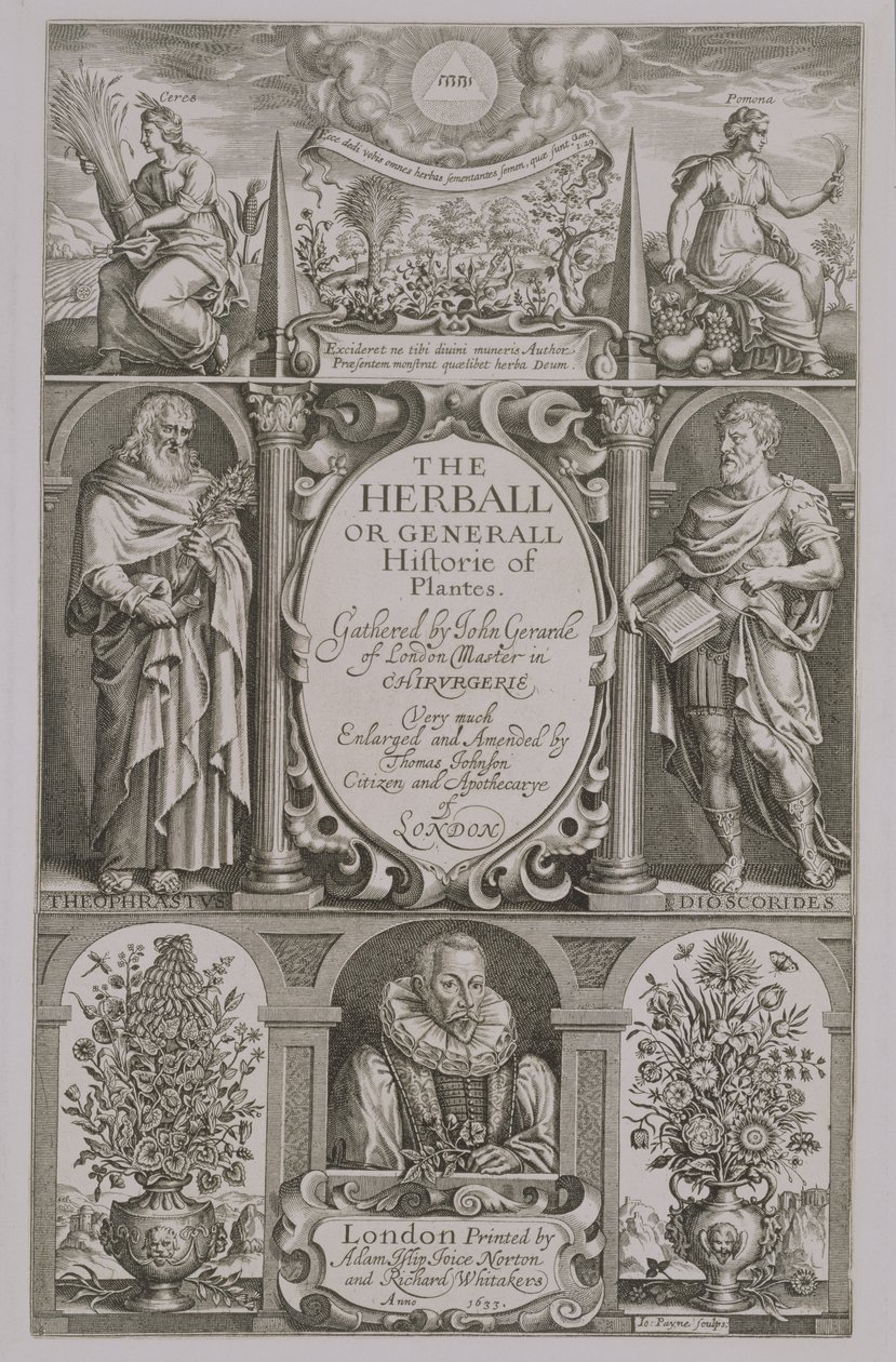 Strona tytułowa do drugiego wydania "Herballa" Johna Gerarda (1564-1612) 1633 autorstwa John Payne