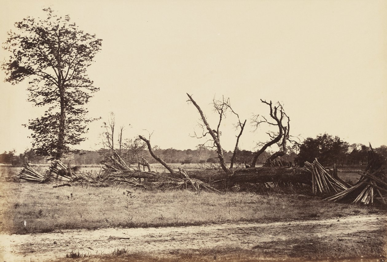 Extreme Line of Confederate Works, Cold Harbor., kwiecień 1865 (odbitka albumu osadzona na papierze tkanym) autorstwa John Reekie