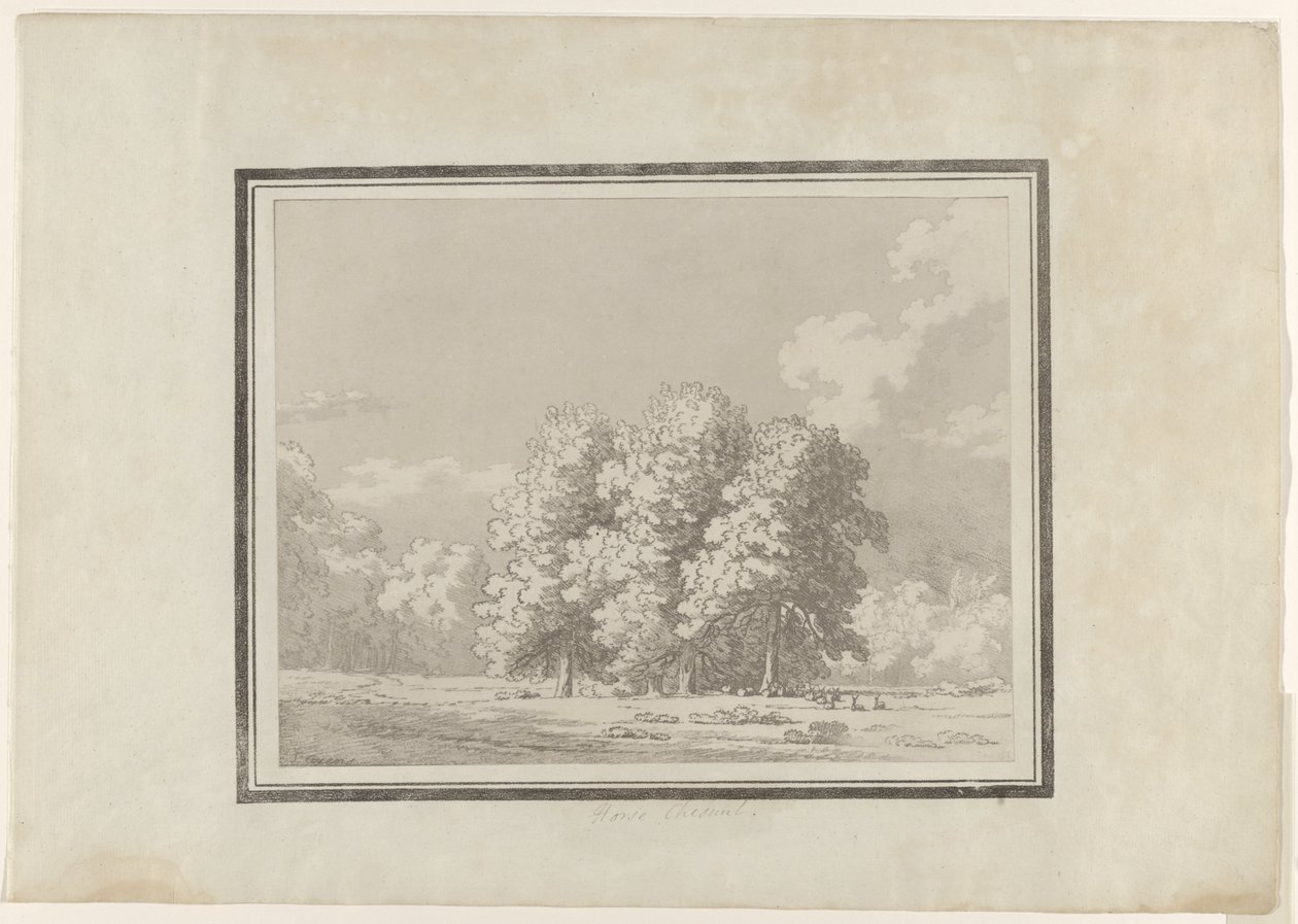 Kasztanowiec autorstwa John Robert Cozens