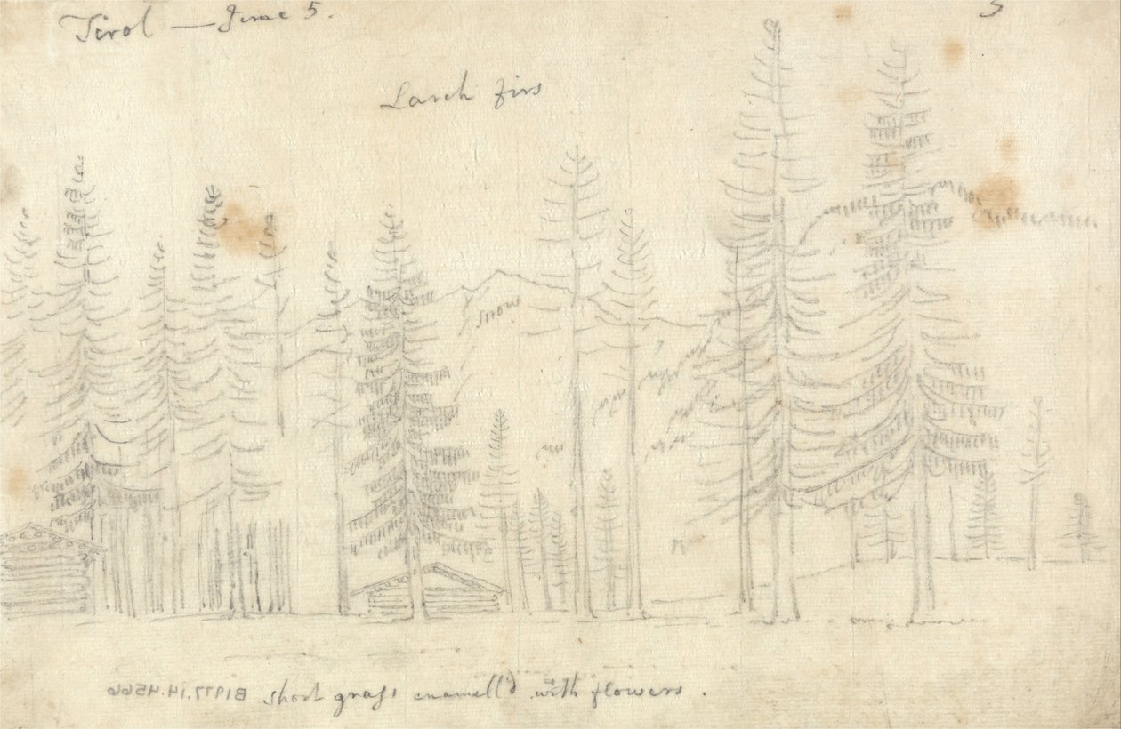 W Tyrolu autorstwa John Robert Cozens
