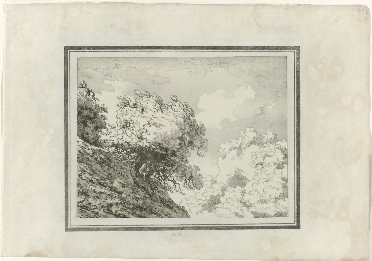 Dąb autorstwa John Robert Cozens