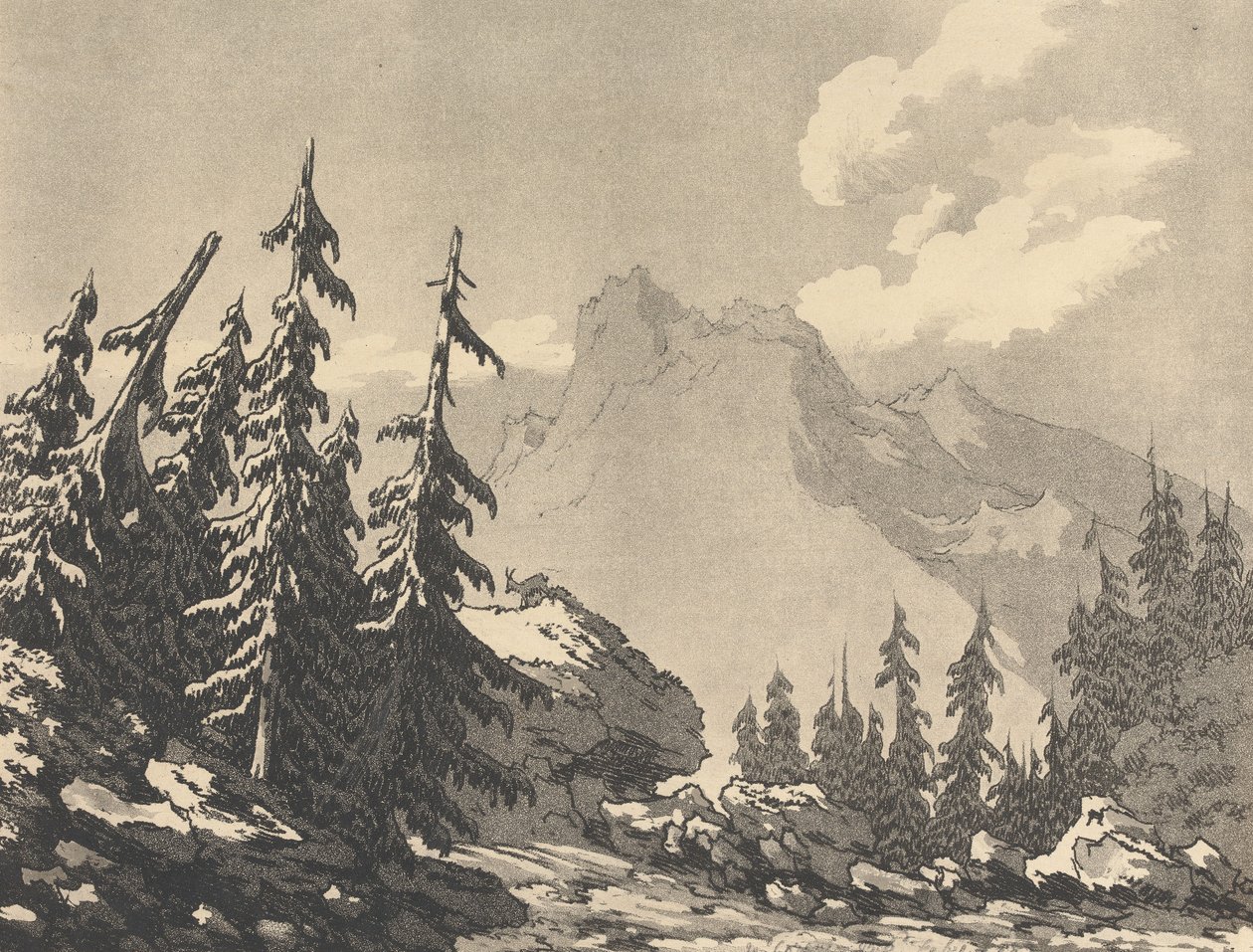 Świerk i jodła autorstwa John Robert Cozens