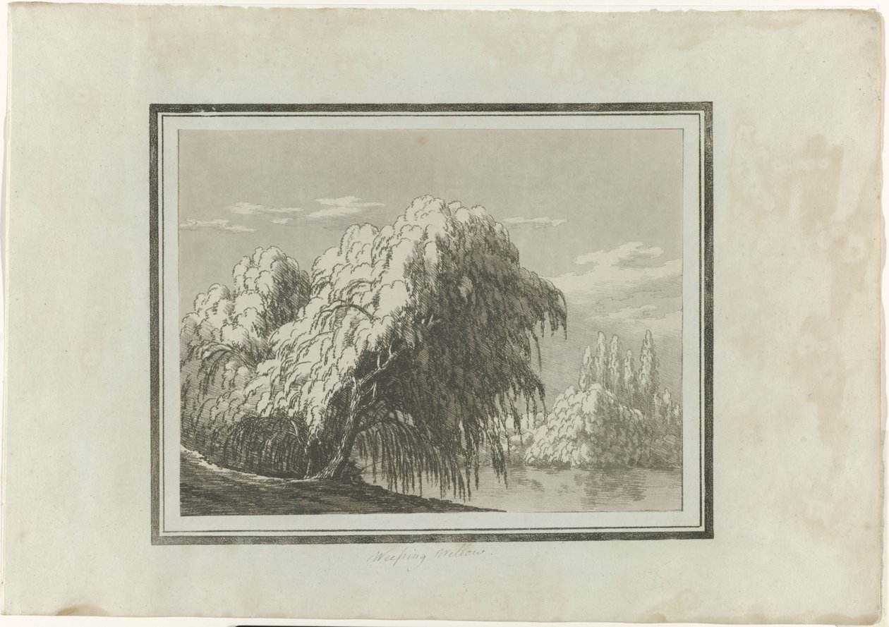 wierzba płacząca autorstwa John Robert Cozens