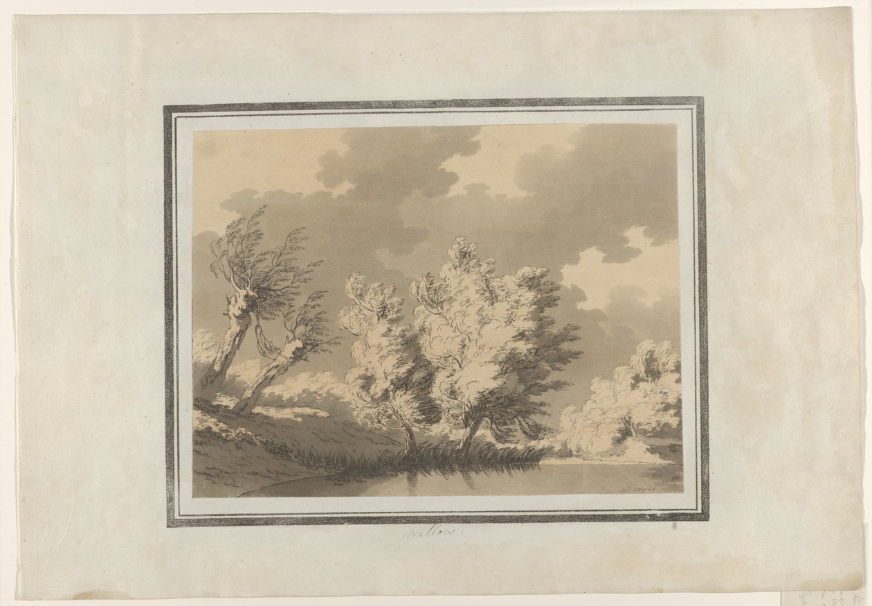 Wierzba autorstwa John Robert Cozens