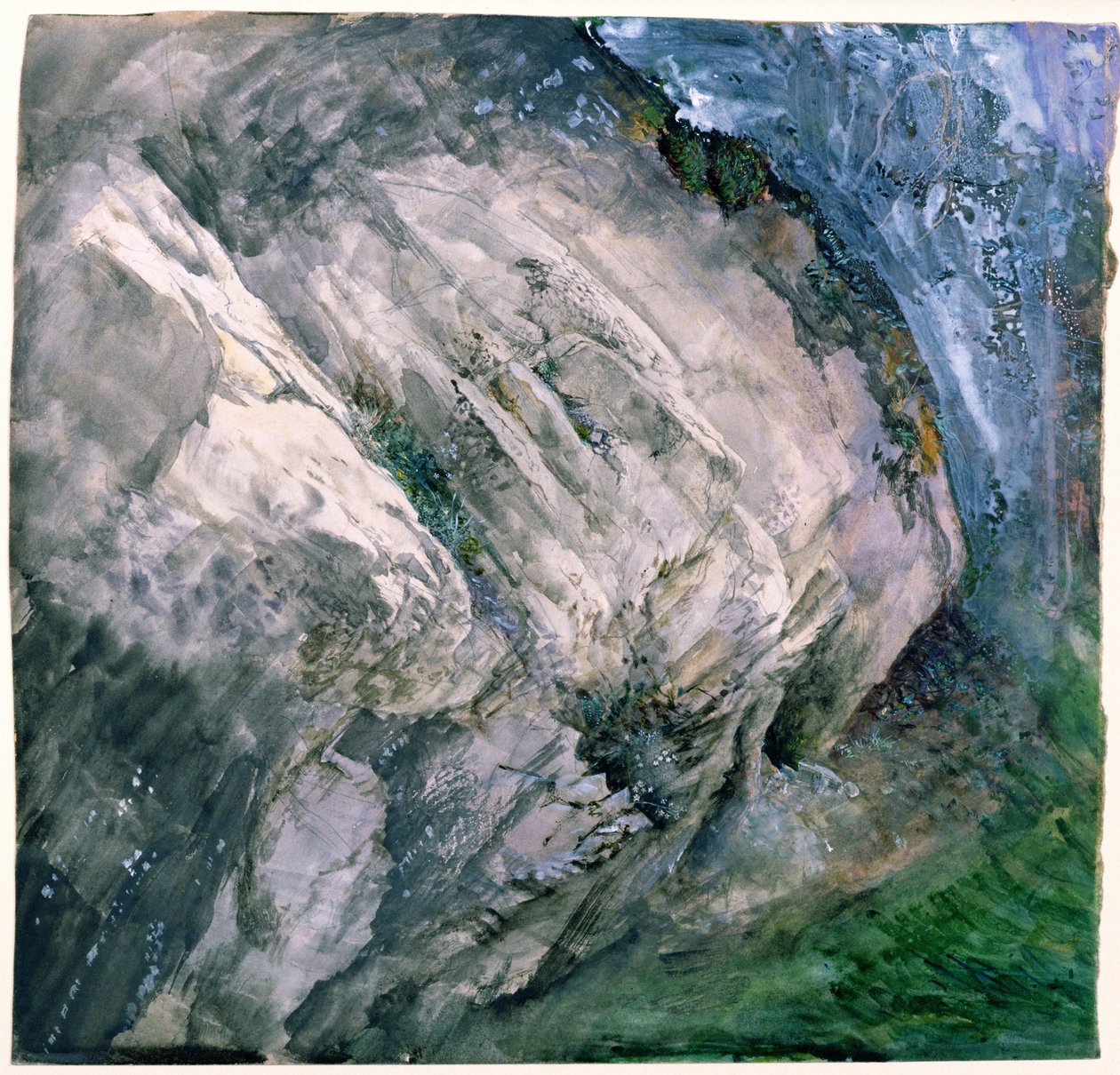 Skały i roślinność w Chamouni, 1854 autorstwa John Ruskin