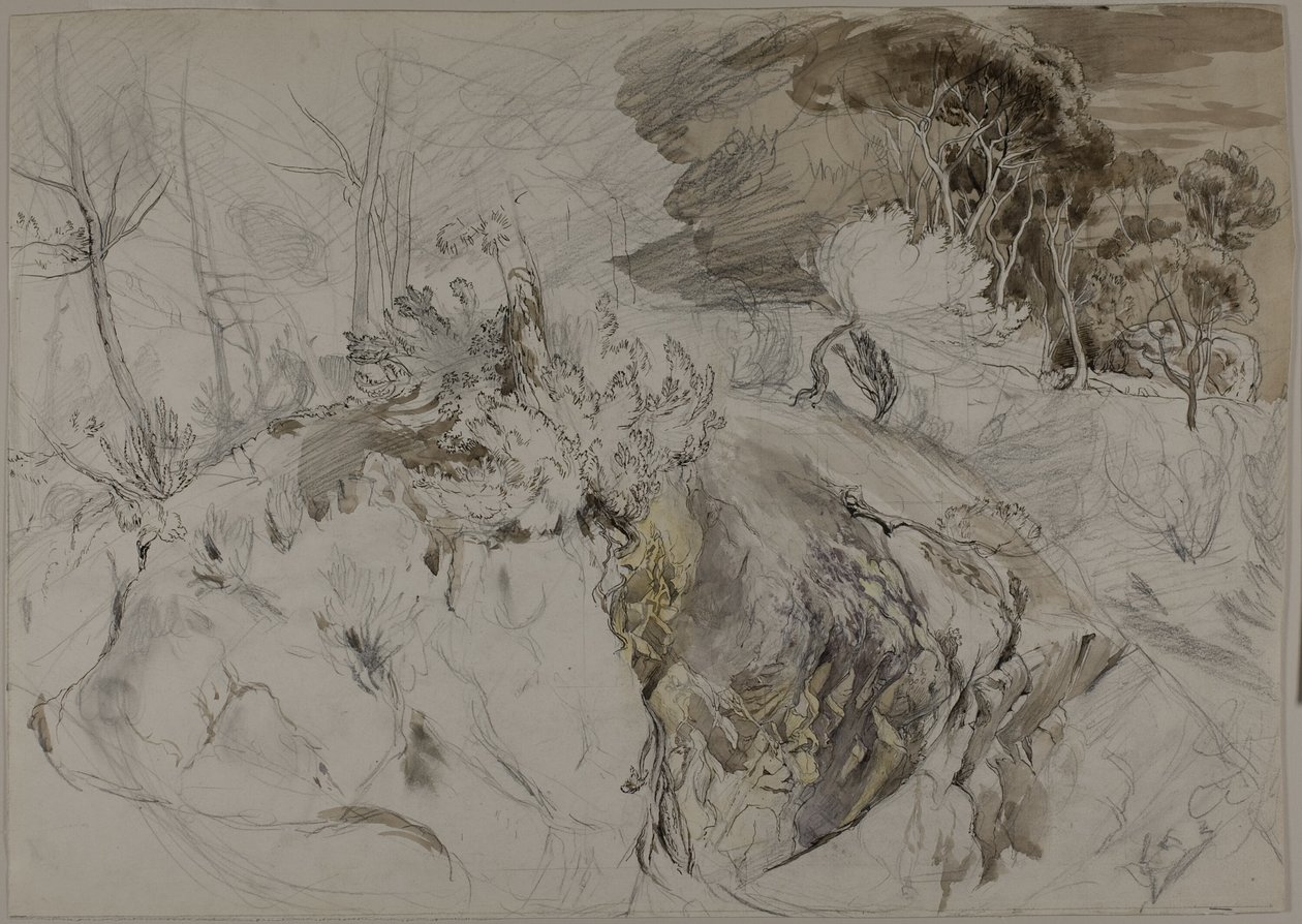 Krzewy i drzewa w skalistym krajobrazie autorstwa John Ruskin