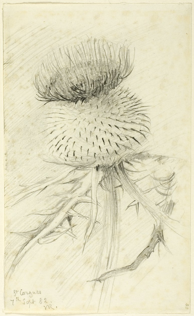 św. Cergues autorstwa John Ruskin