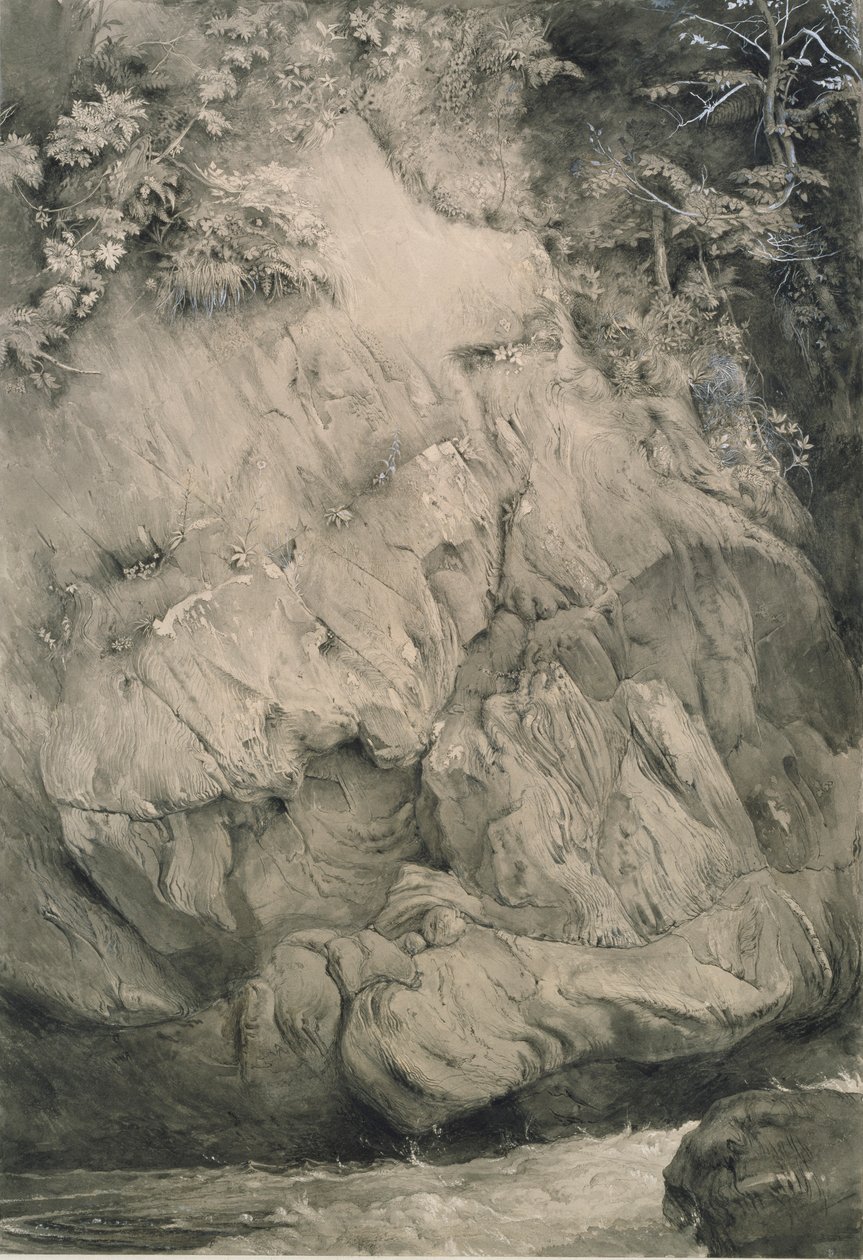 Studium Gnejsowej Skały, Glenfinlas, lipiec 1853 – luty 1854 autorstwa John Ruskin