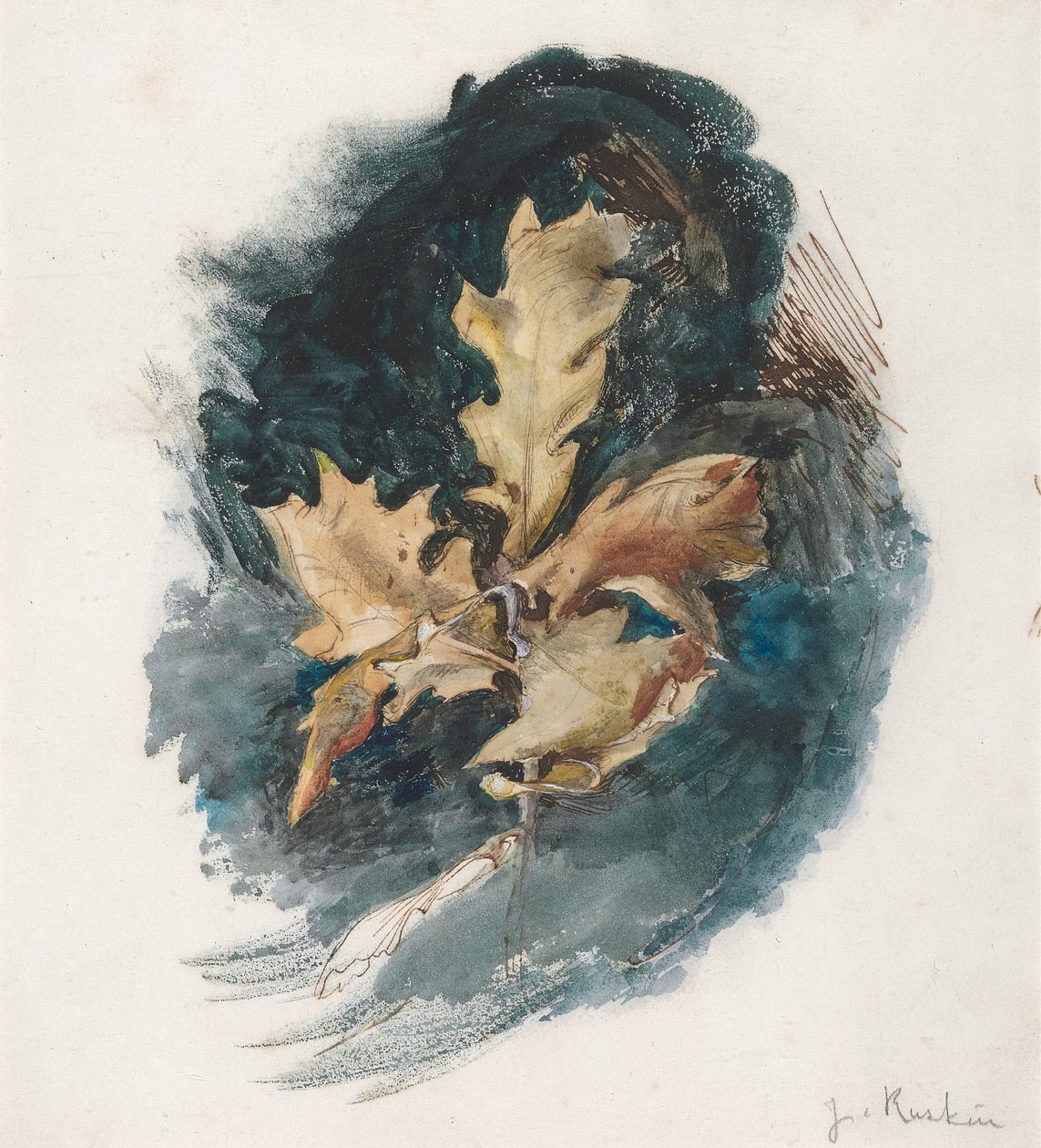 Analiza liścia dębu autorstwa John Ruskin