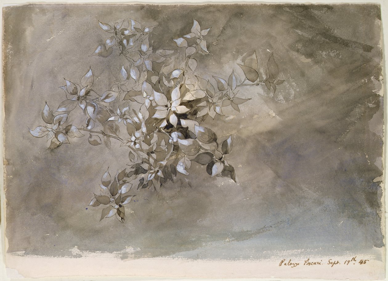 Badanie liści autorstwa John Ruskin