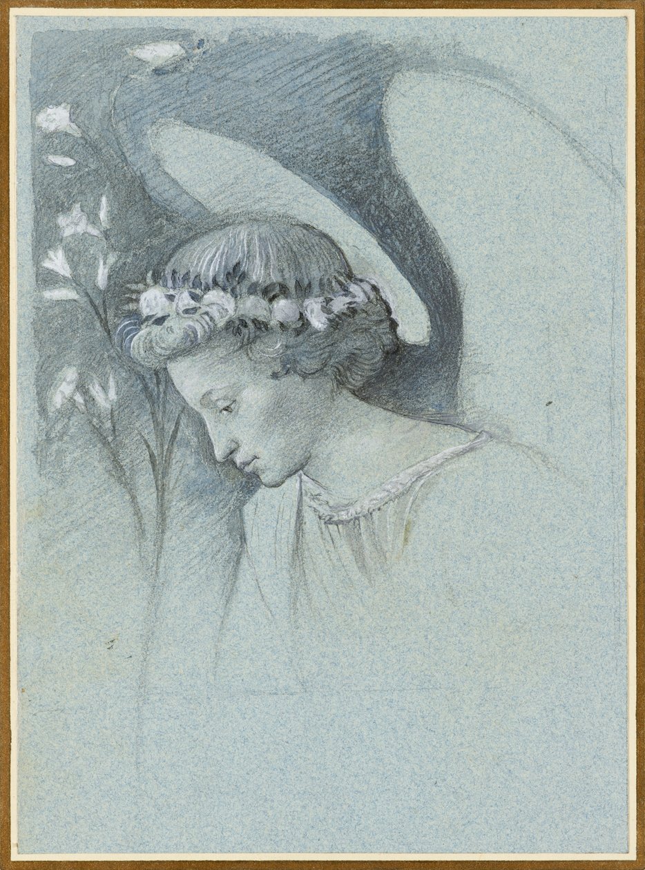 Studium Głowy Anioła Gabriela w „Aniołku zapowiadającym” Filippo Lippiego, 28 czerwca 1870. autorstwa John Ruskin