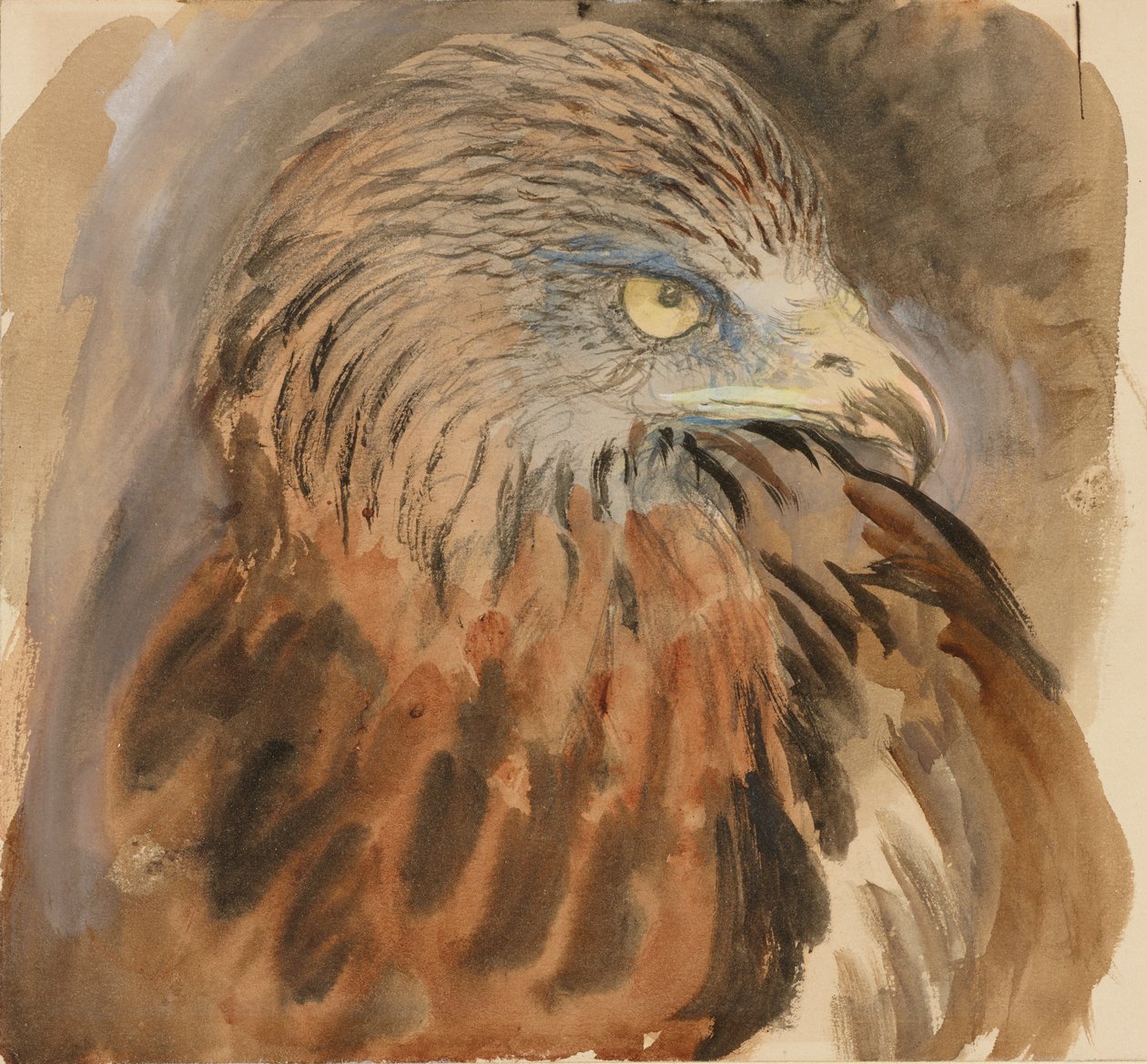 Głowa latawca, z życia, 30 sierpnia - 1 września 1870. autorstwa John Ruskin