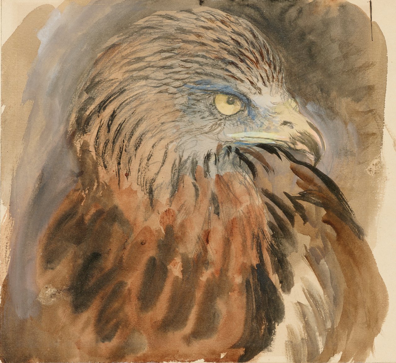 Głowa latawca, z życia, 30 sierpnia - 1 września 1870. autorstwa John Ruskin