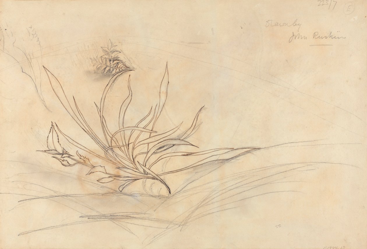 Skalisty brzeg rzeki autorstwa John Ruskin