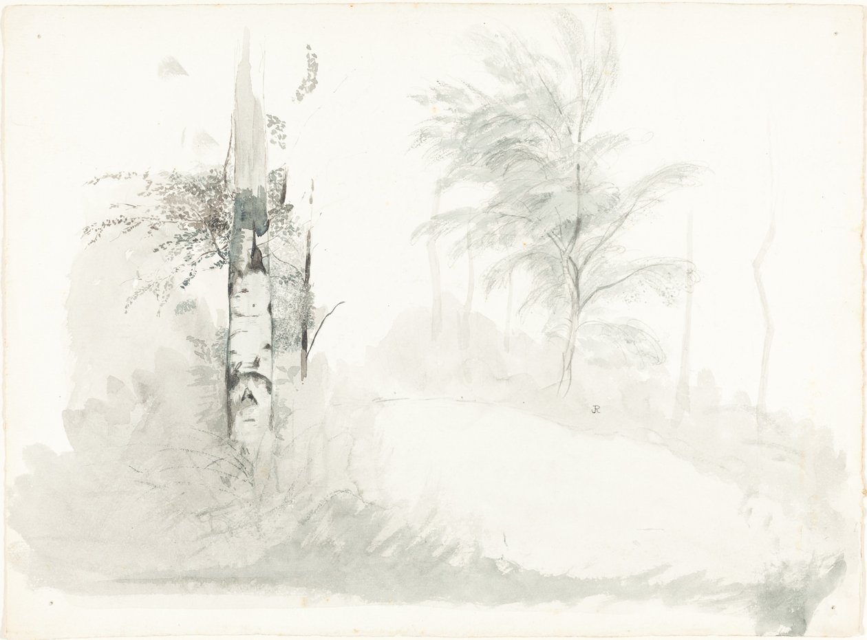 Badanie drzewa autorstwa John Ruskin