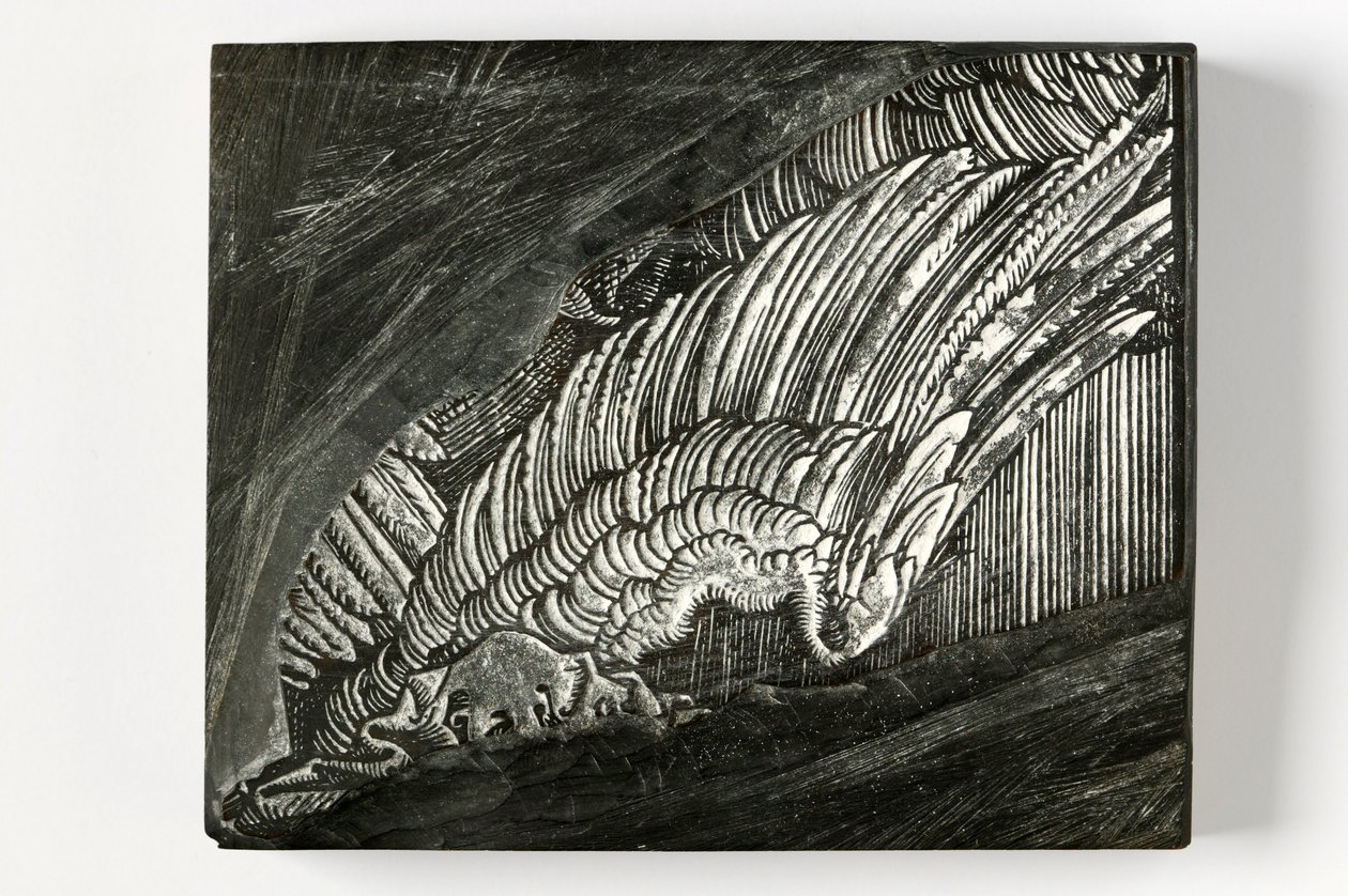 „Skrzydło” z Durera (grawerowany drewniany blok) autorstwa John Ruskin