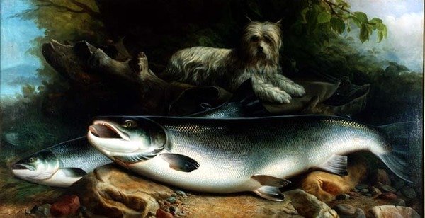 Strzeżenie połowu dnia; Skye Terrier z Łososiem Kogutem i Kurą autorstwa John Russell
