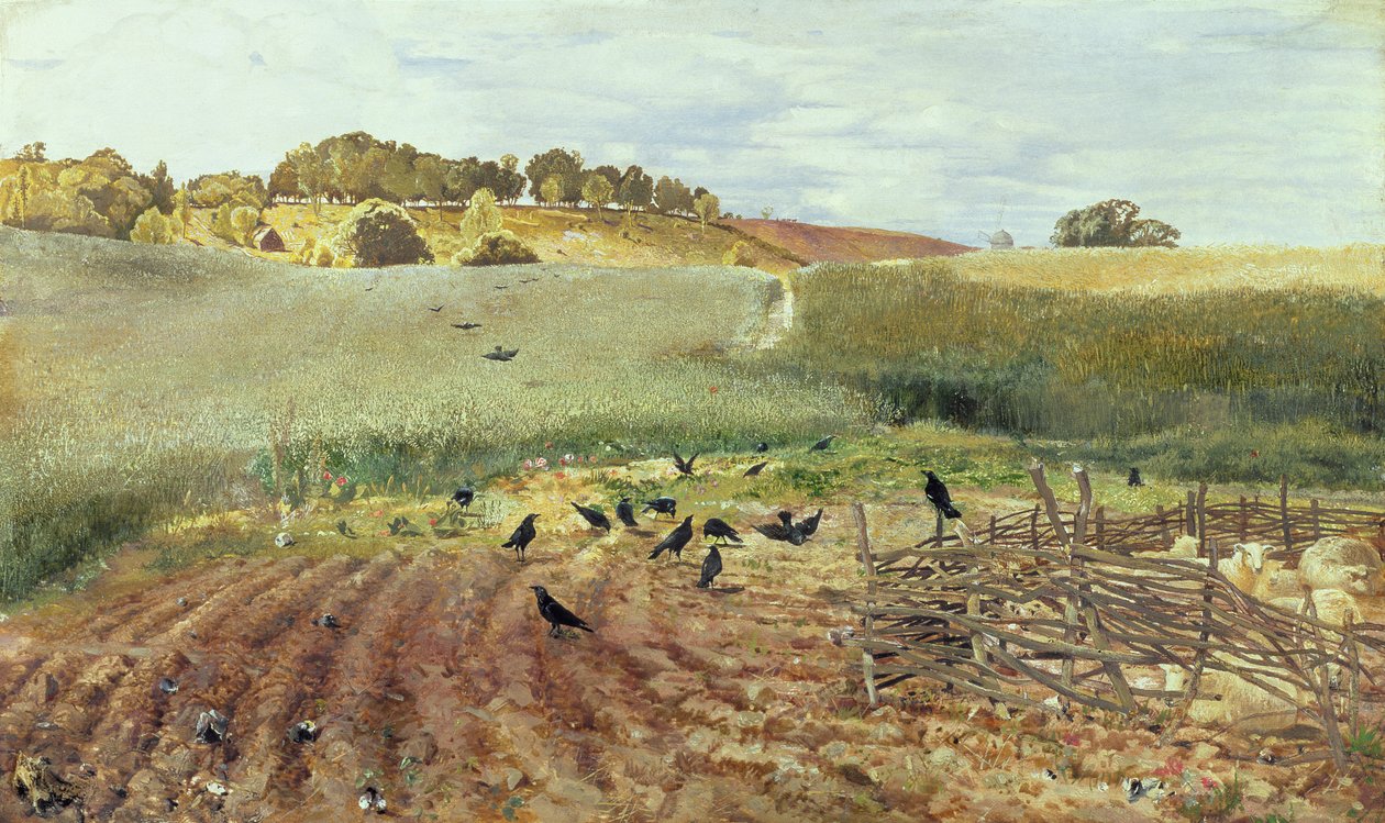 Parlament gawronowy, 1858 autorstwa John Samuel Raven