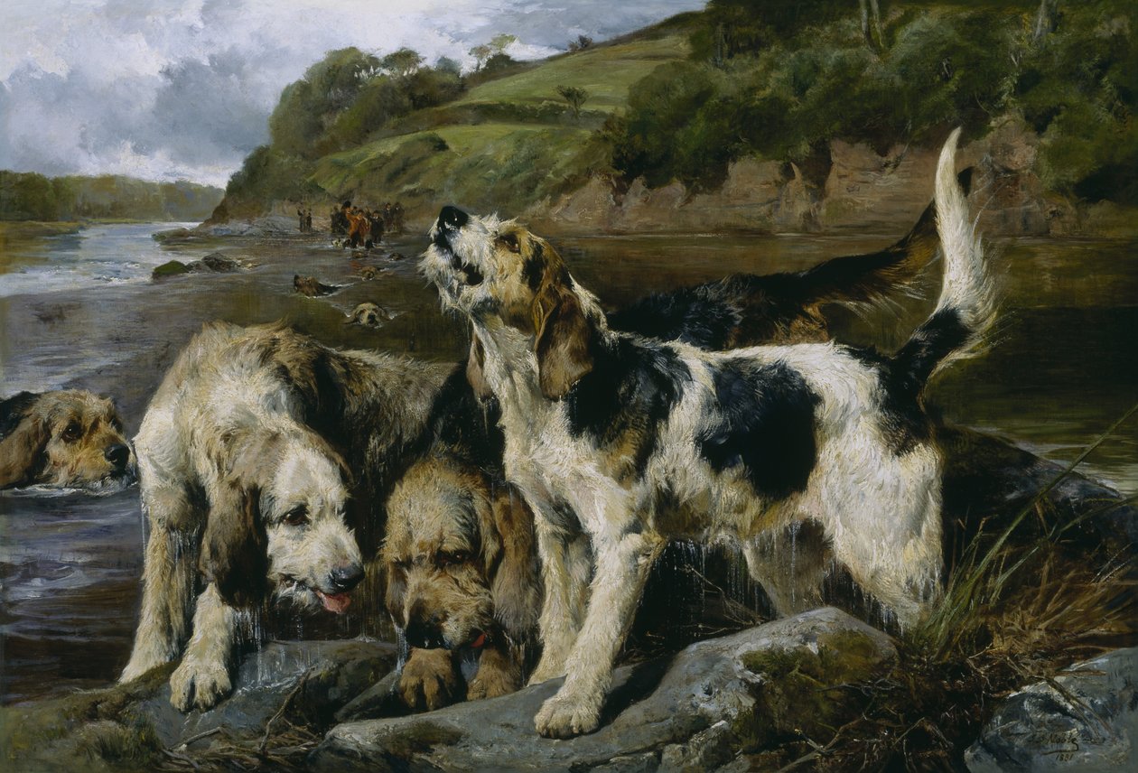 Polowanie na wydry, czyli na trop, 1881 autorstwa John Sargent Noble